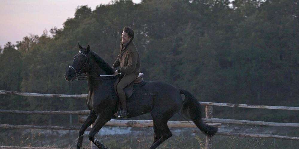 Jappeloup : un cheval de légende au coeur de disputes