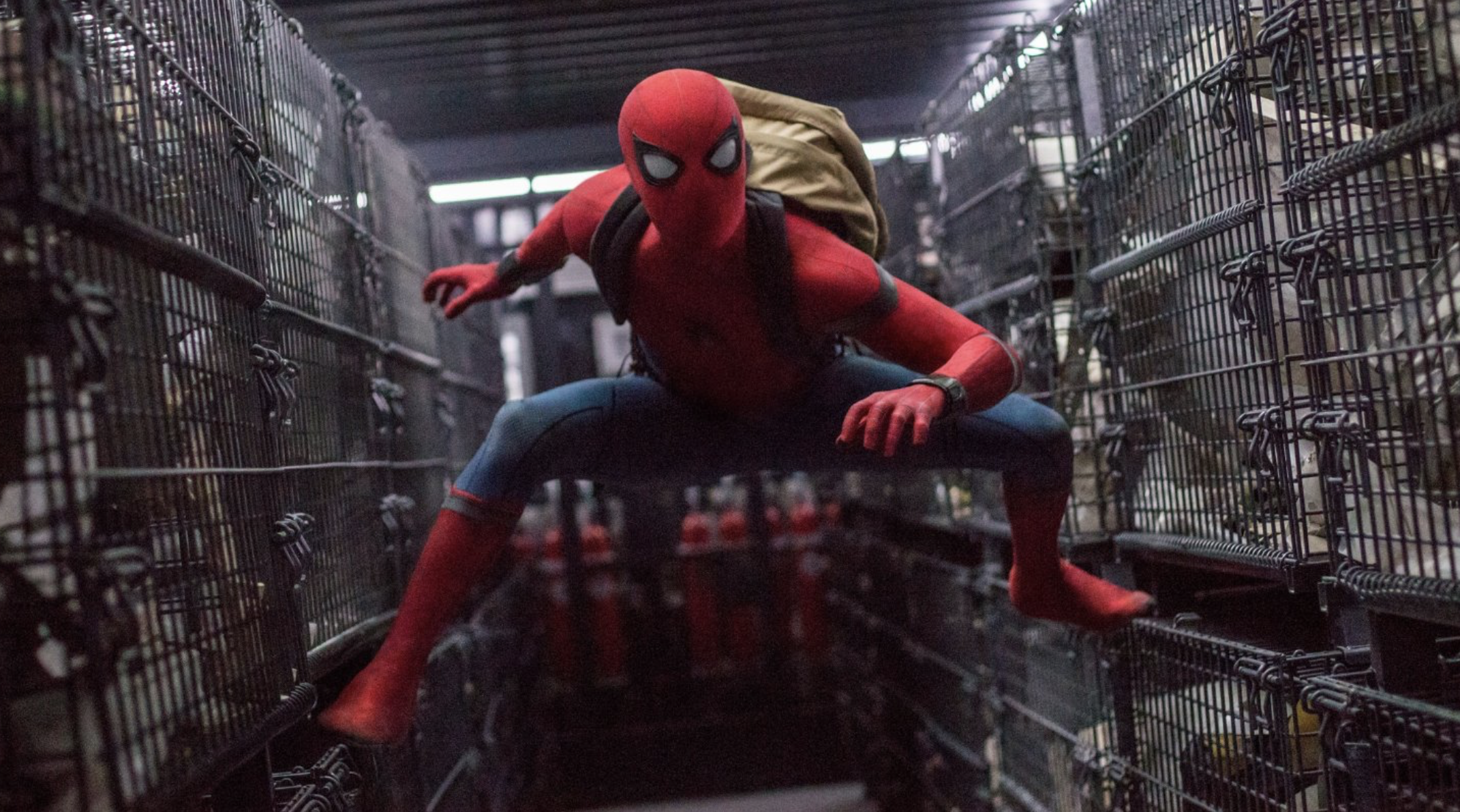 Spider-Man : Sony a officiellement nommé son univers étendu