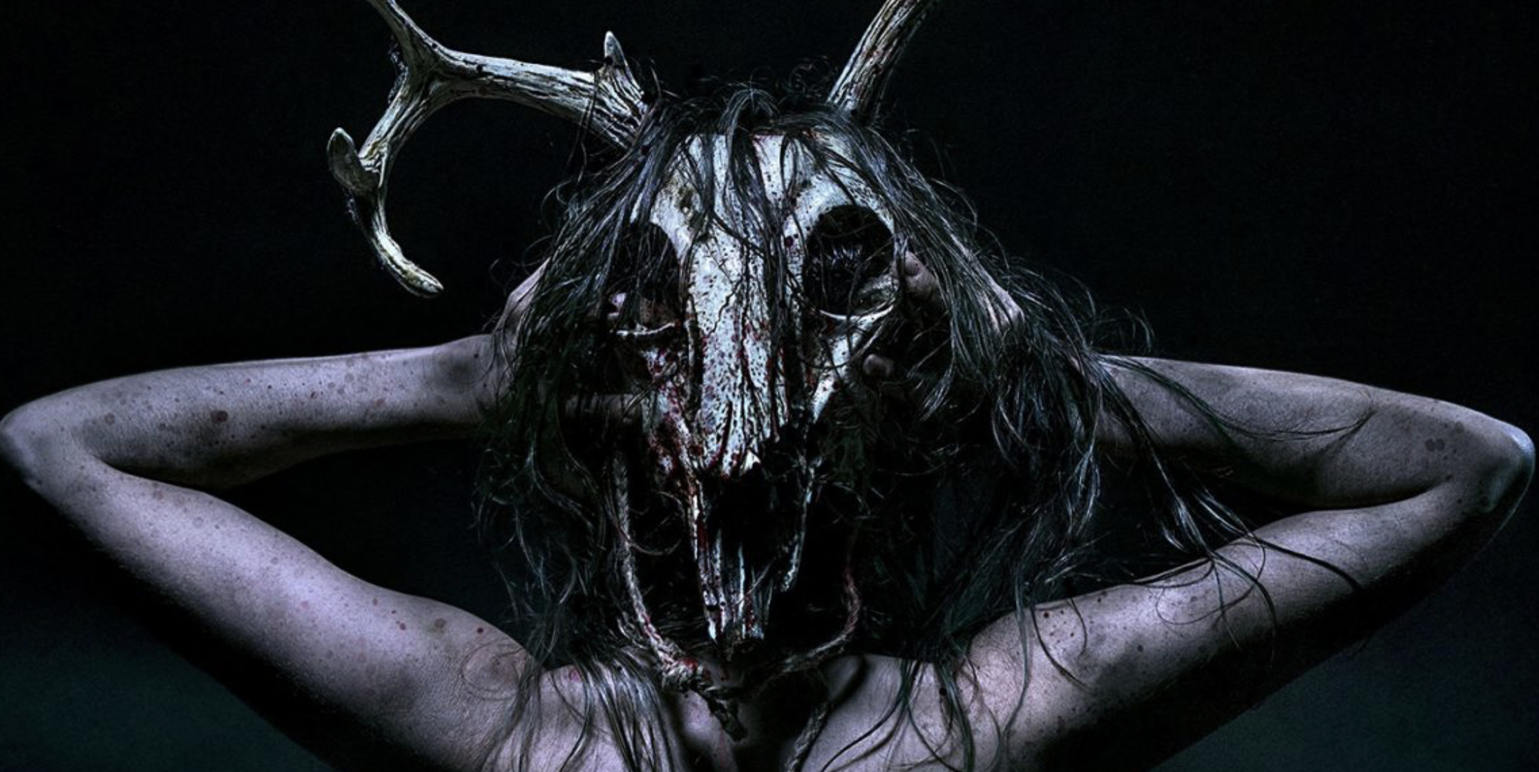 The Wretched : c'est quoi ce film d'horreur qui cartonne aux USA en plein confinement ?