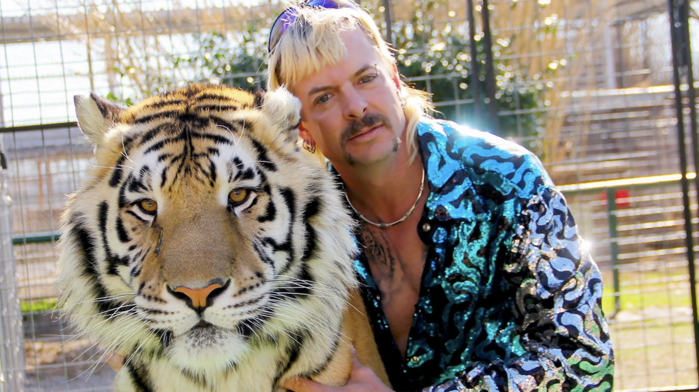 Tiger King : Nicolas Cage va jouer Joe Exotic dans une série