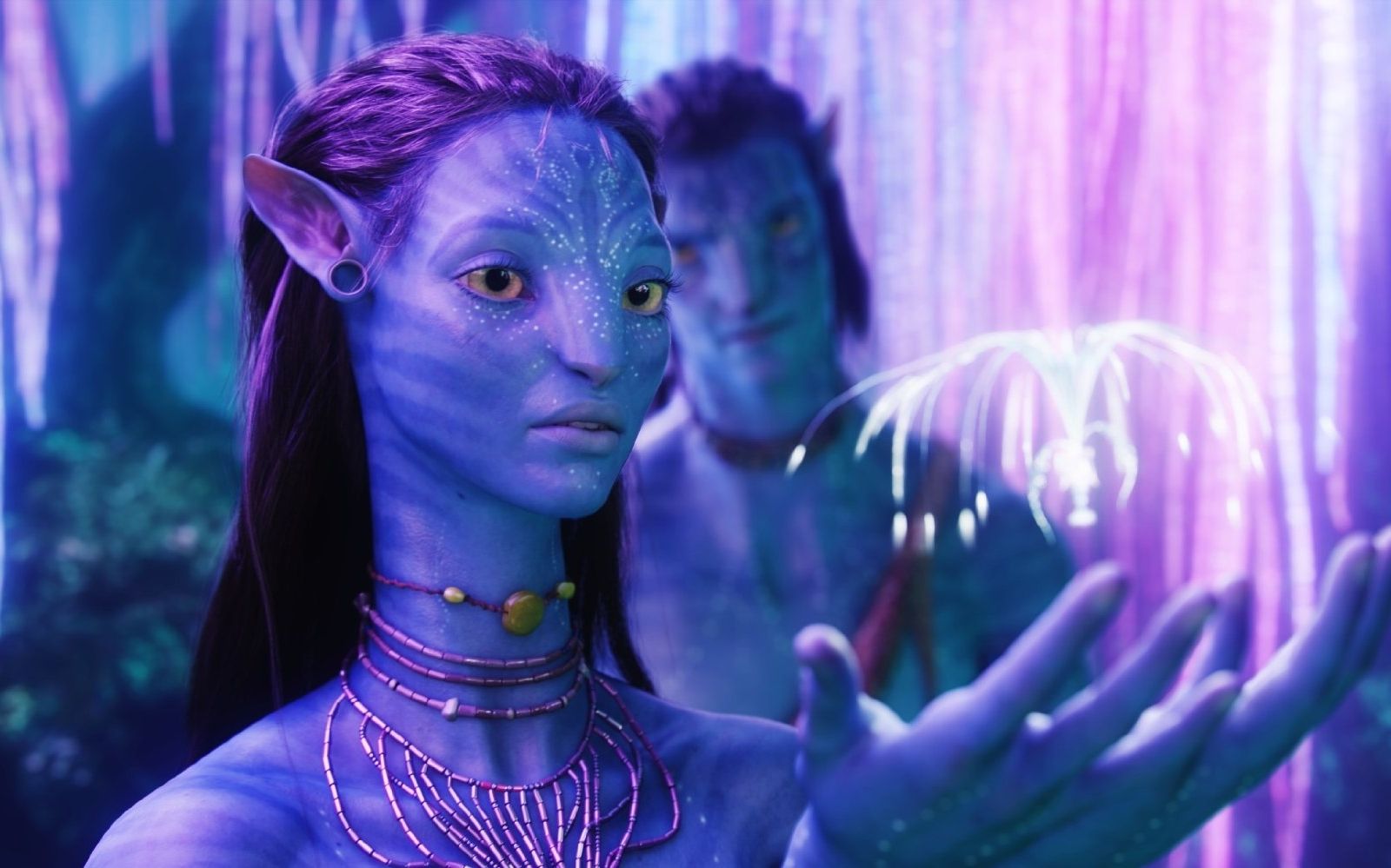Avatar 2 : l'équipe de tournage est de retour en Nouvelle-Zélande