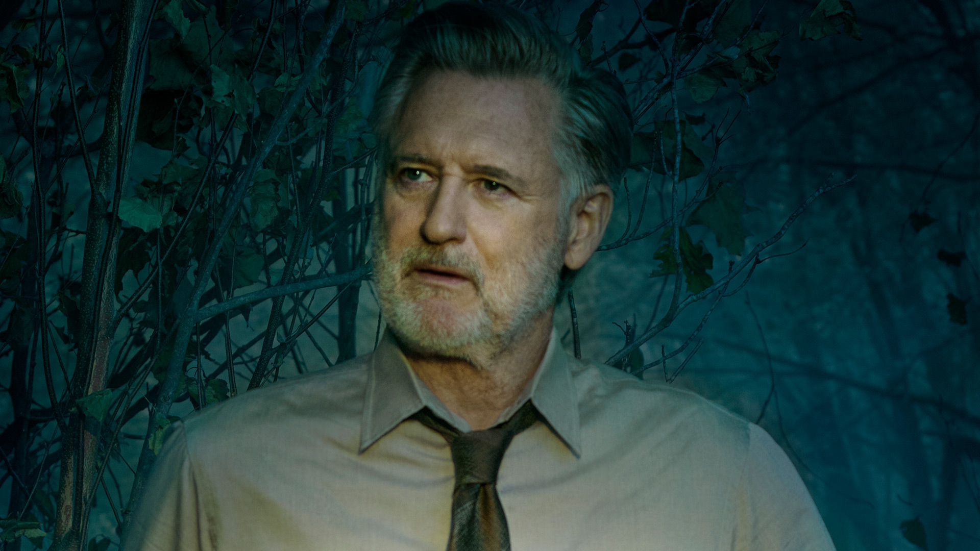 The Sinner : la série est renouvelée pour une saison 4