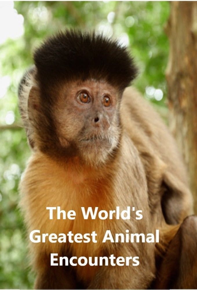 World's Greatest Animal Encounters