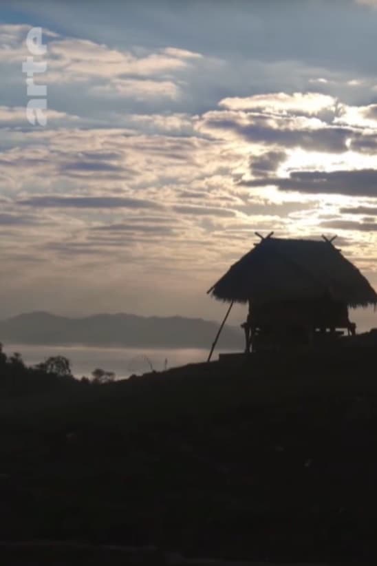 Laos - Le village au-dessus des nuages