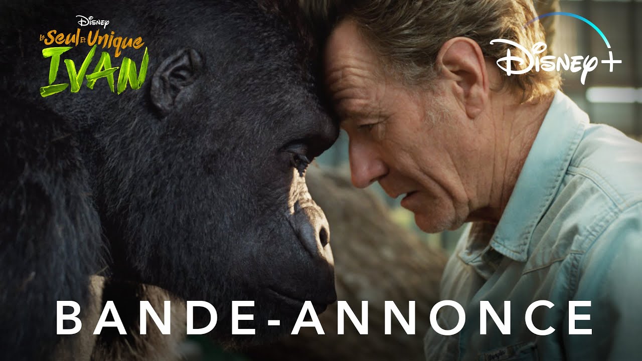 Le Seul et Unique Ivan : une bande-annonce pour le film Disney+ avec Bryan Cranston