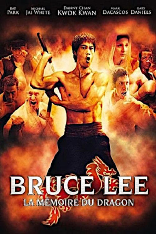Bruce Lee - La Mémoire du Dragon