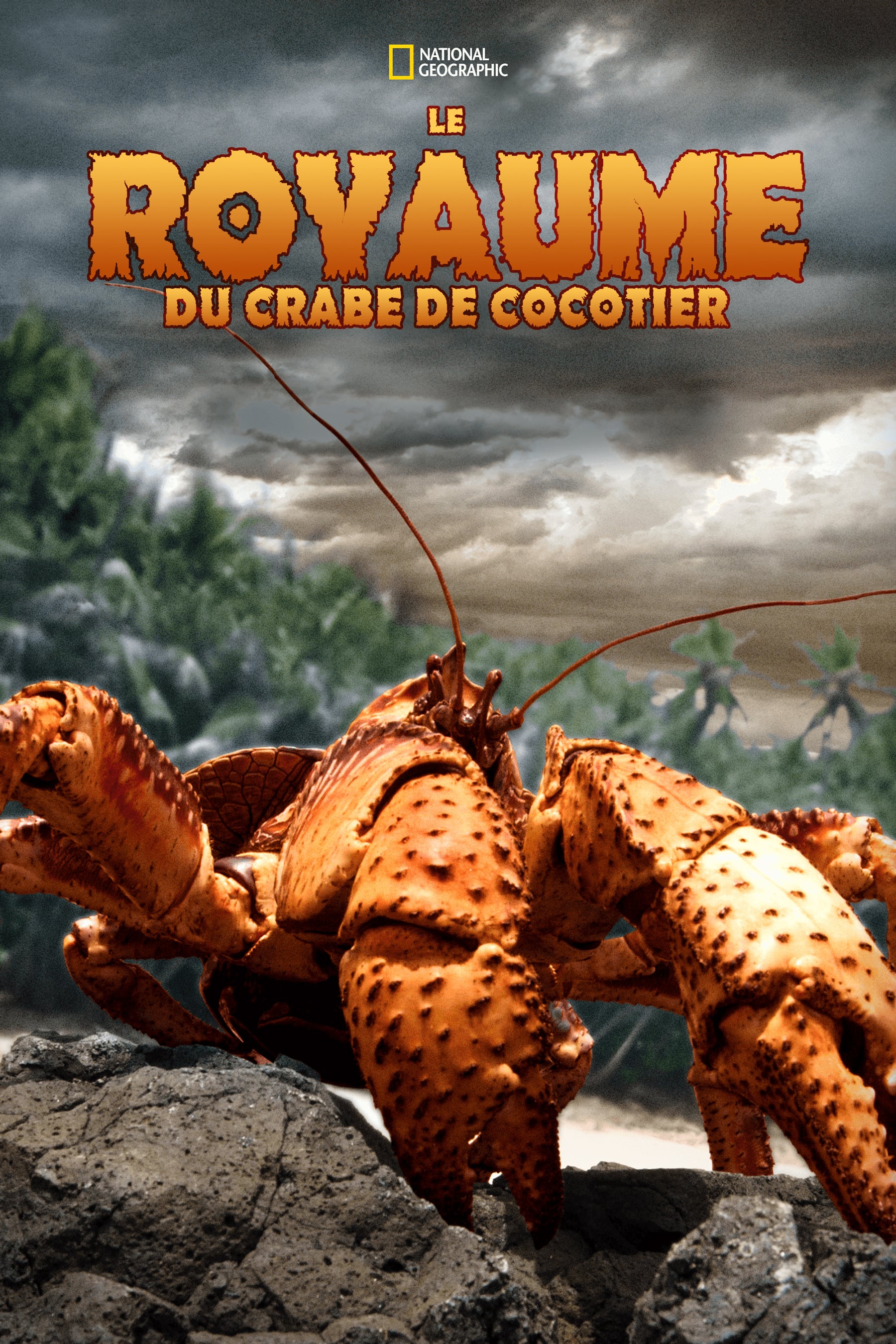 Le royaume du crabe de cocotier