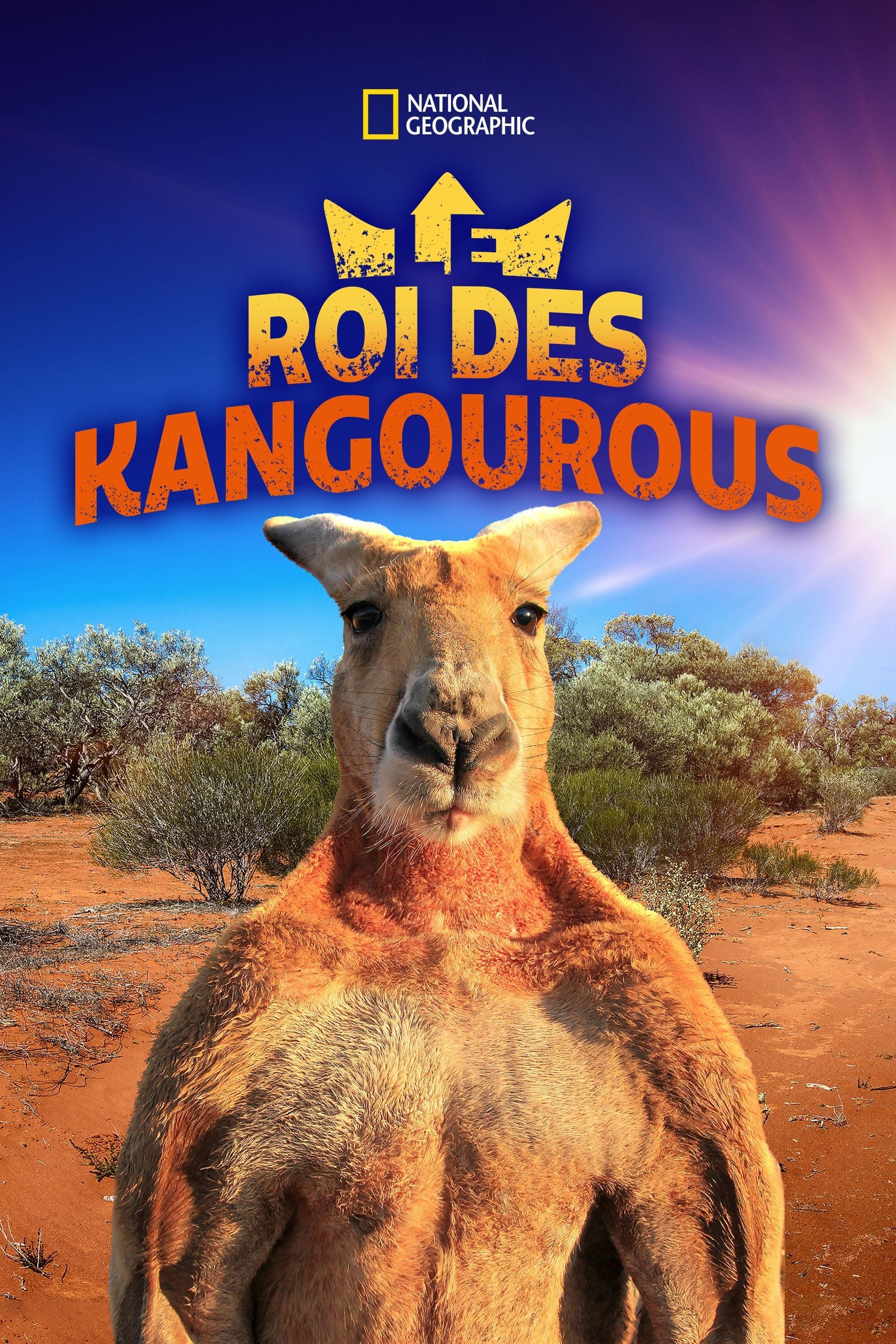 Le roi des kangourous