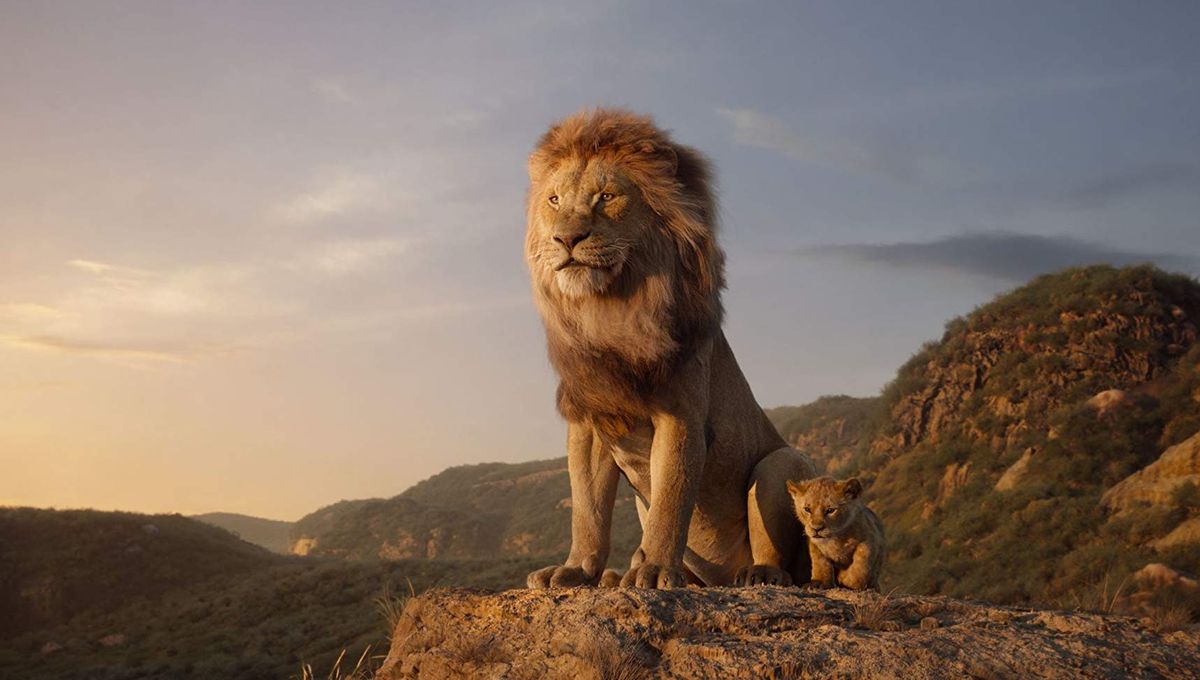 Le Roi Lion : Disney lance une suite pour le live-action, avec un nouveau réalisateur