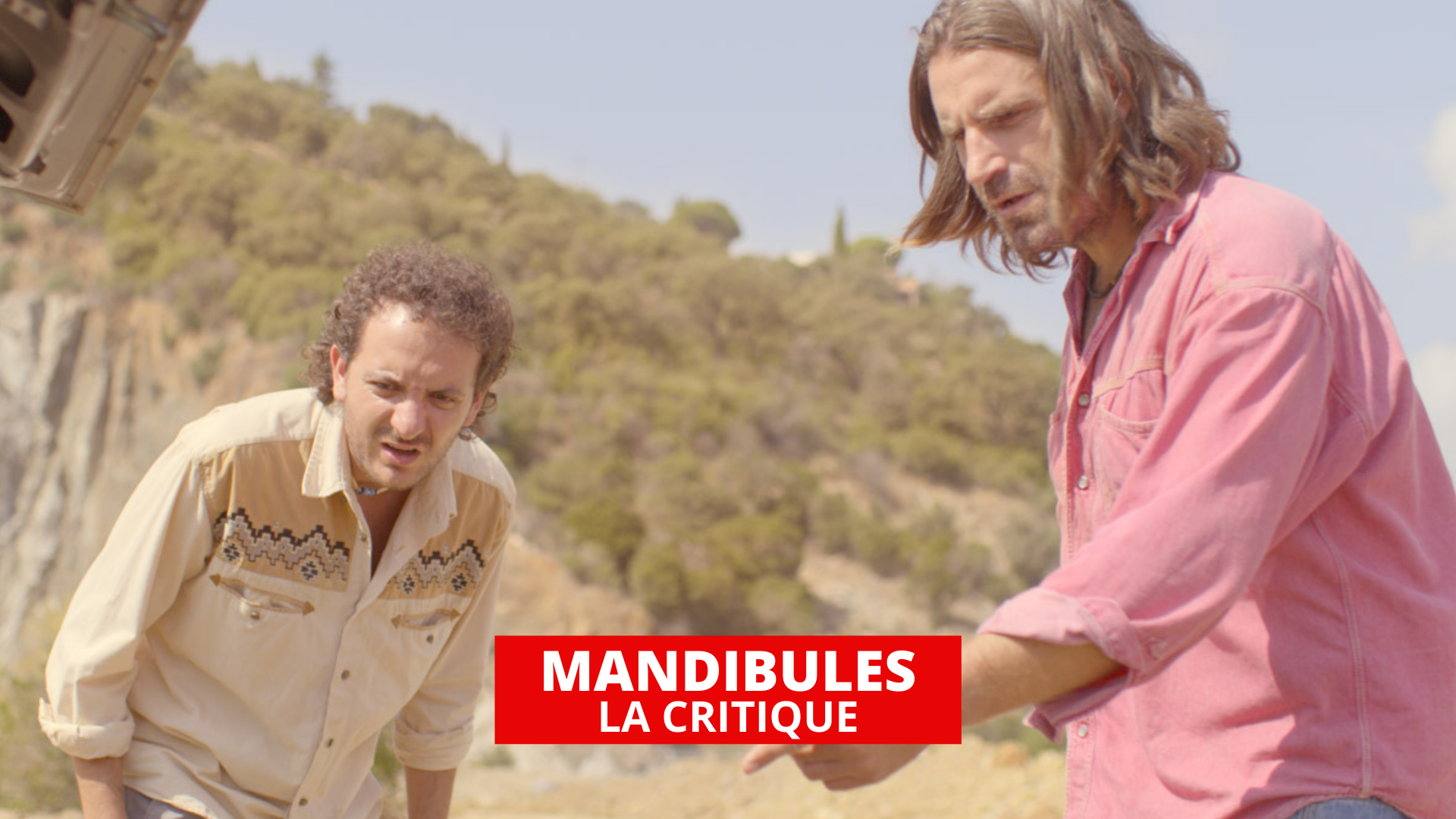 Mandibules : l’art de la bêtise par Quentin Dupieux et le Palmashow