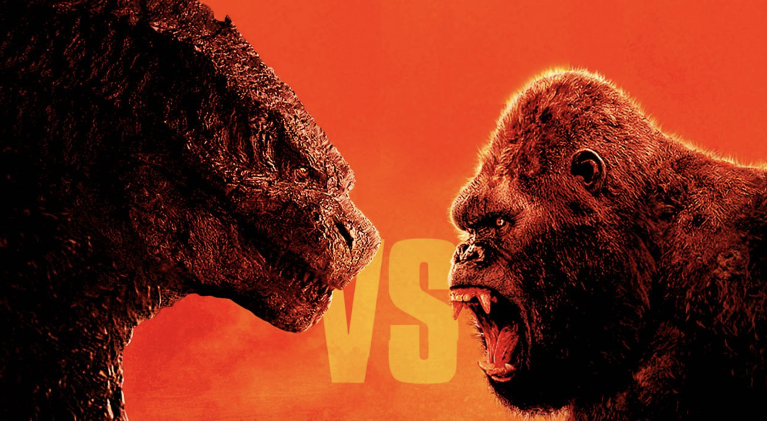 Godzilla vs Kong : Netflix veut racheter le film