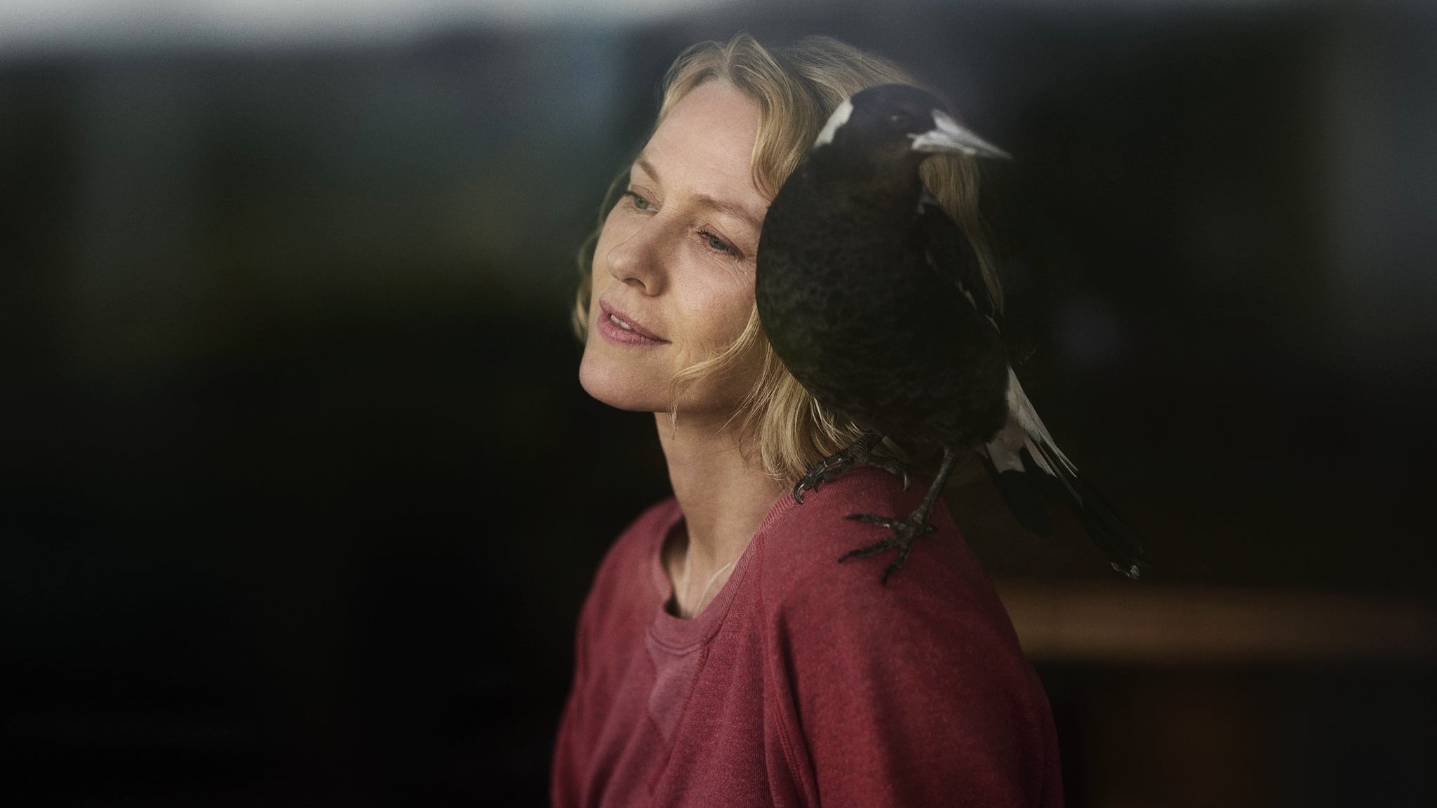 Penguin Bloom : un trailer émouvant pour le drame avec Naomi Watts et Andrew Garfield