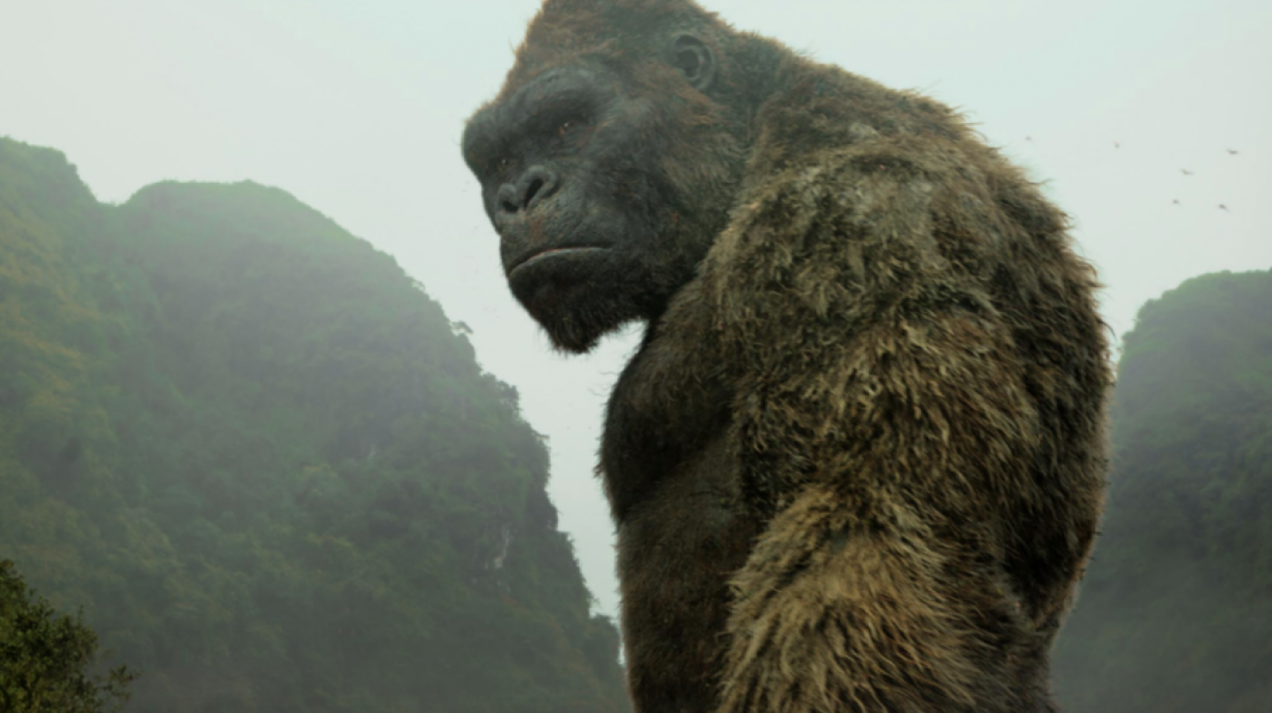 Netflix annonce des séries animées sur Kong et Lara Croft !