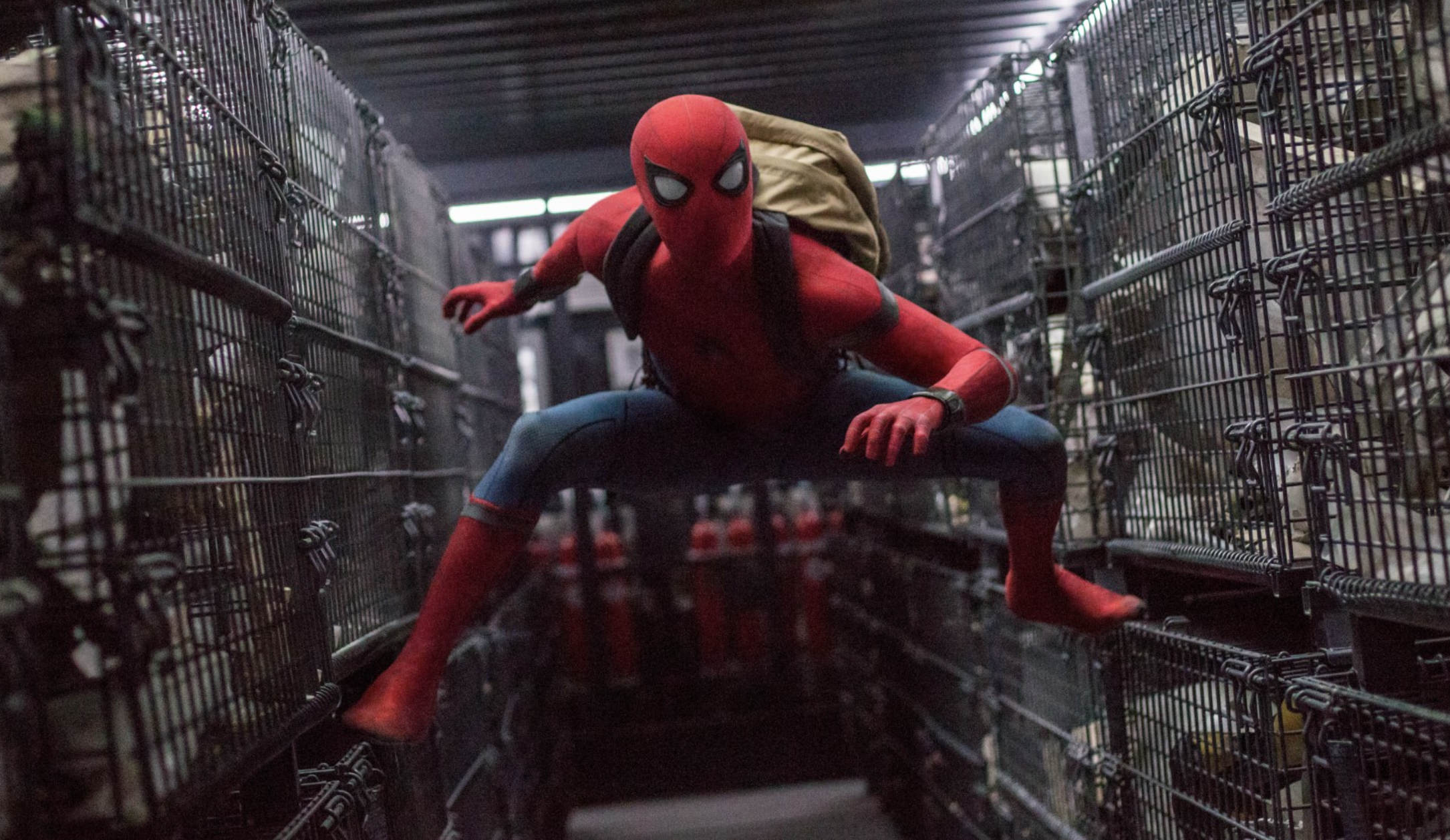 Spider-Man : Tom Holland a cru qu'il allait se faire virer du MCU