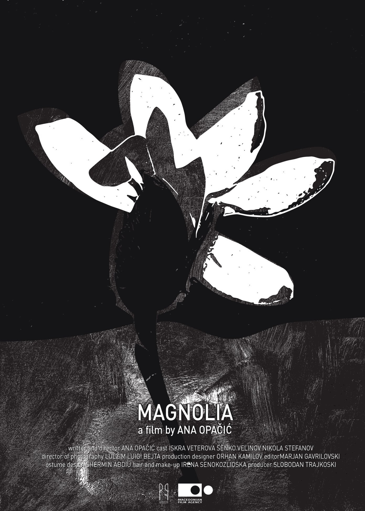 Magnolia