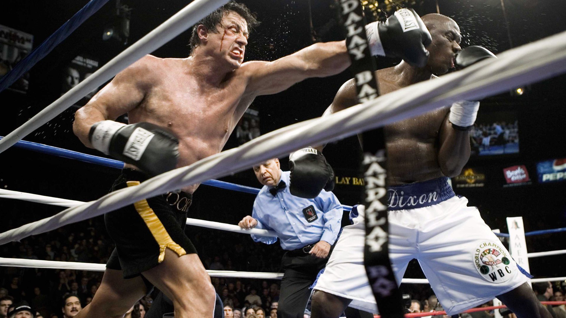 Rocky Balboa : une énorme star devait jouer face à Sylvester Stallone