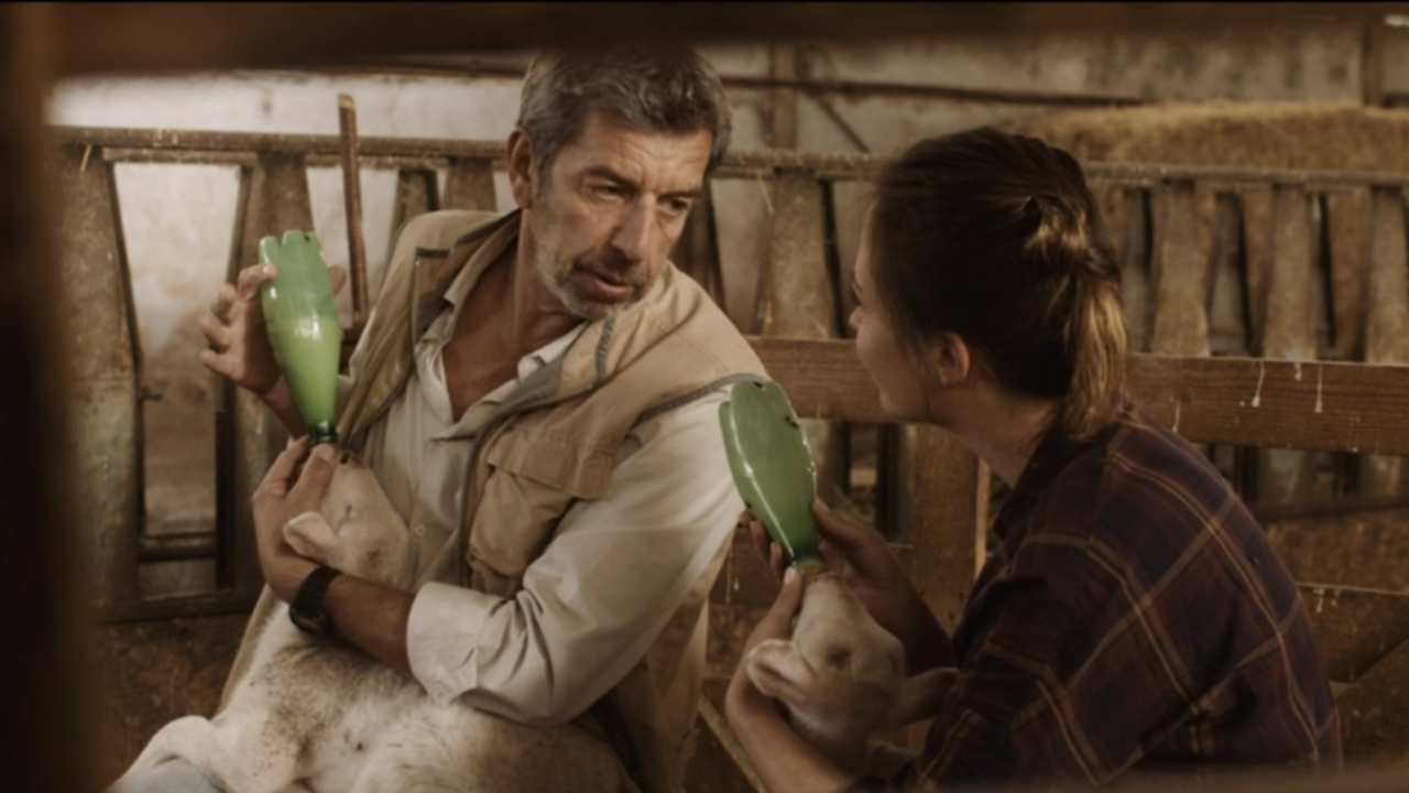 La doc et le véto sur France 3 : Michel Cymes a réellement accouché une brebis pour le tournage