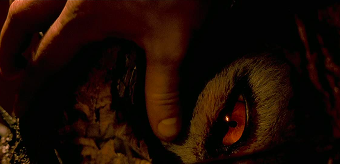 The Beast : Netflix et Jason Blum préparent un film sur la Bête du Gévaudan