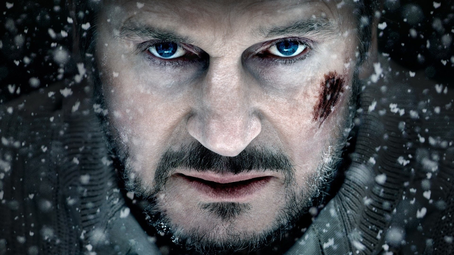 Le Territoire des loups sur Prime Video : ce drame vécu par Liam Neeson qui fait écho au film