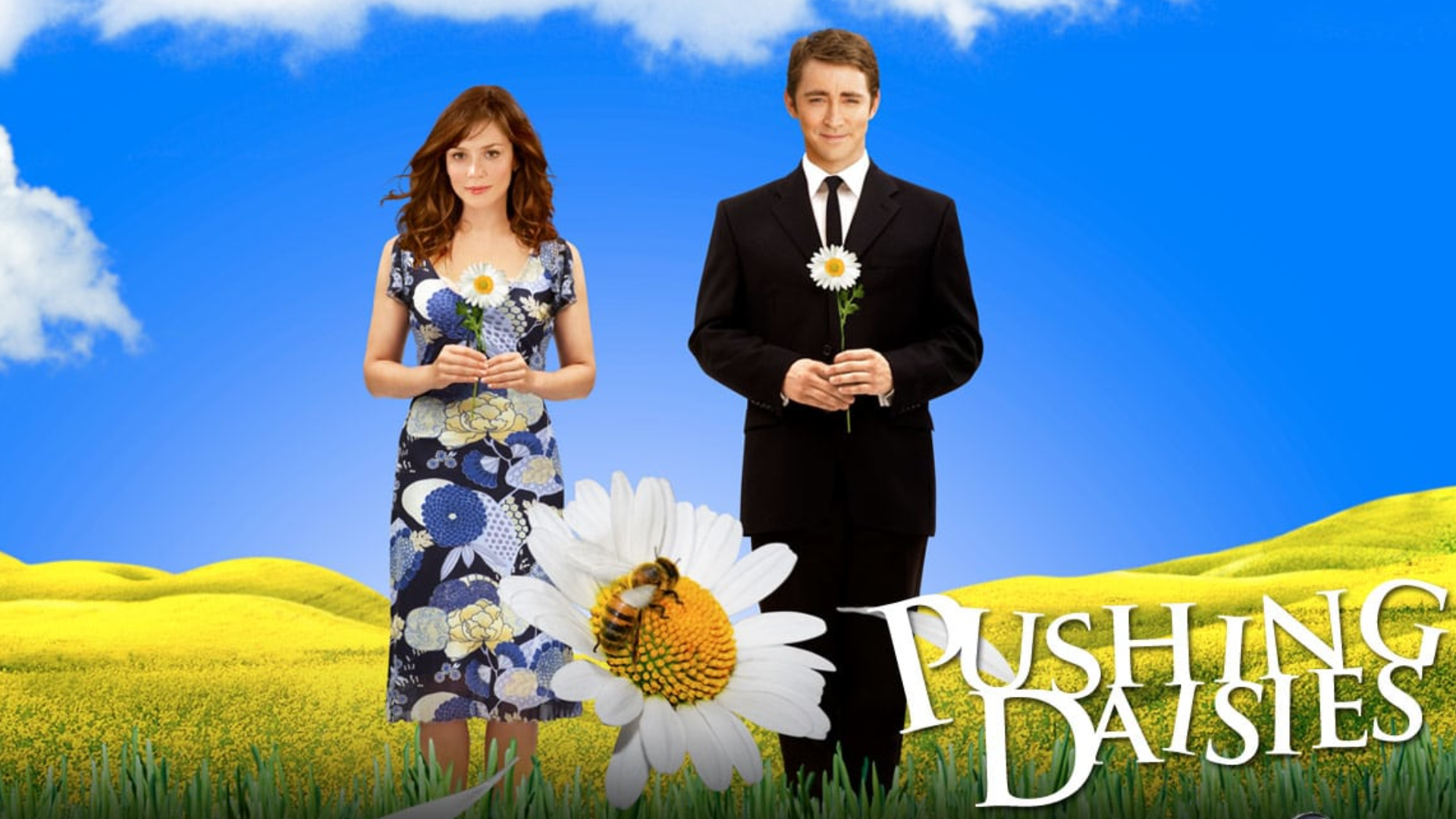Pushing Daisies : trois choses que vous ne saviez pas sur la série