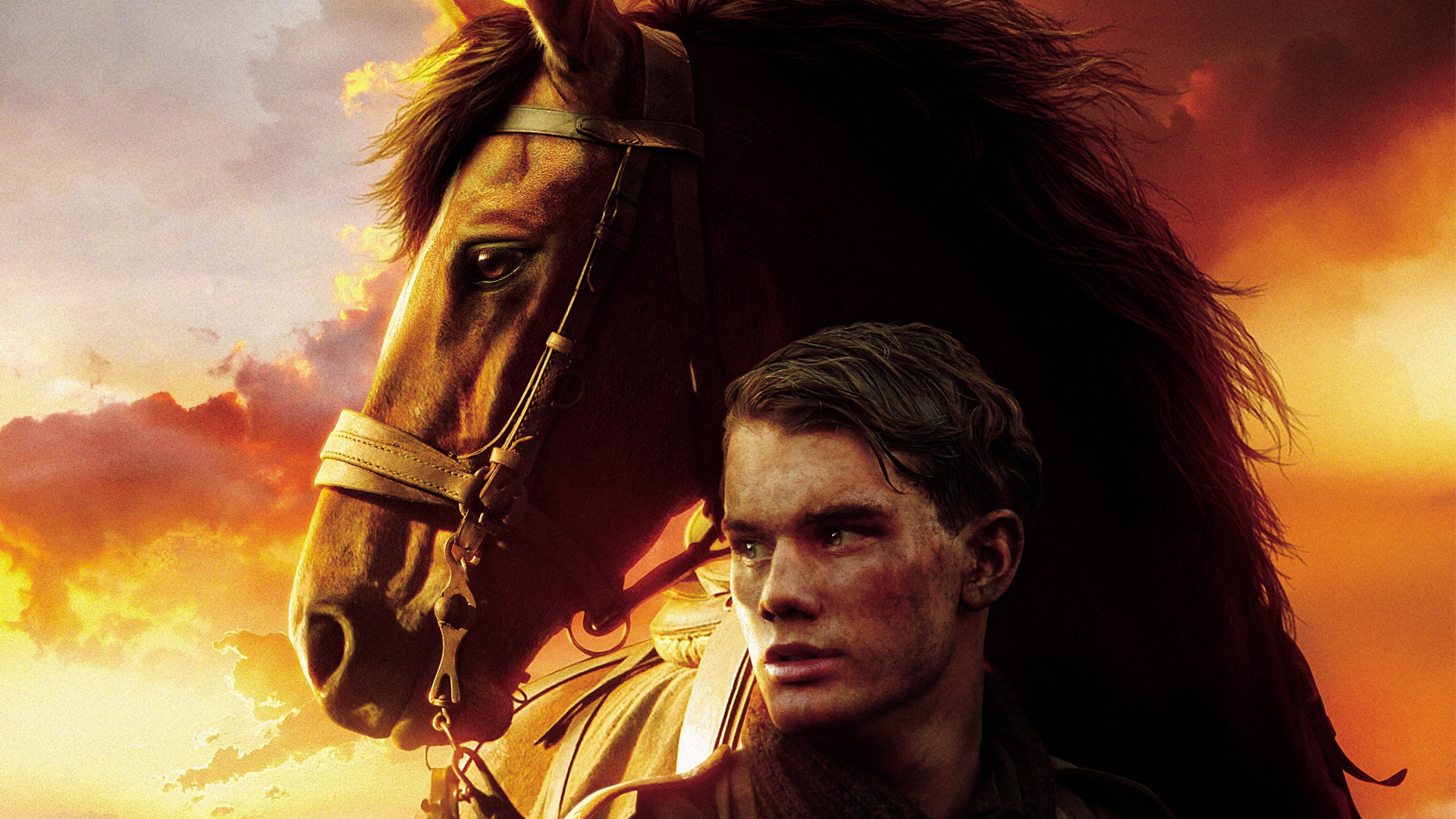 Cheval de guerre : l’histoire vraie des animaux sacrifiés de la Première Guerre mondiale