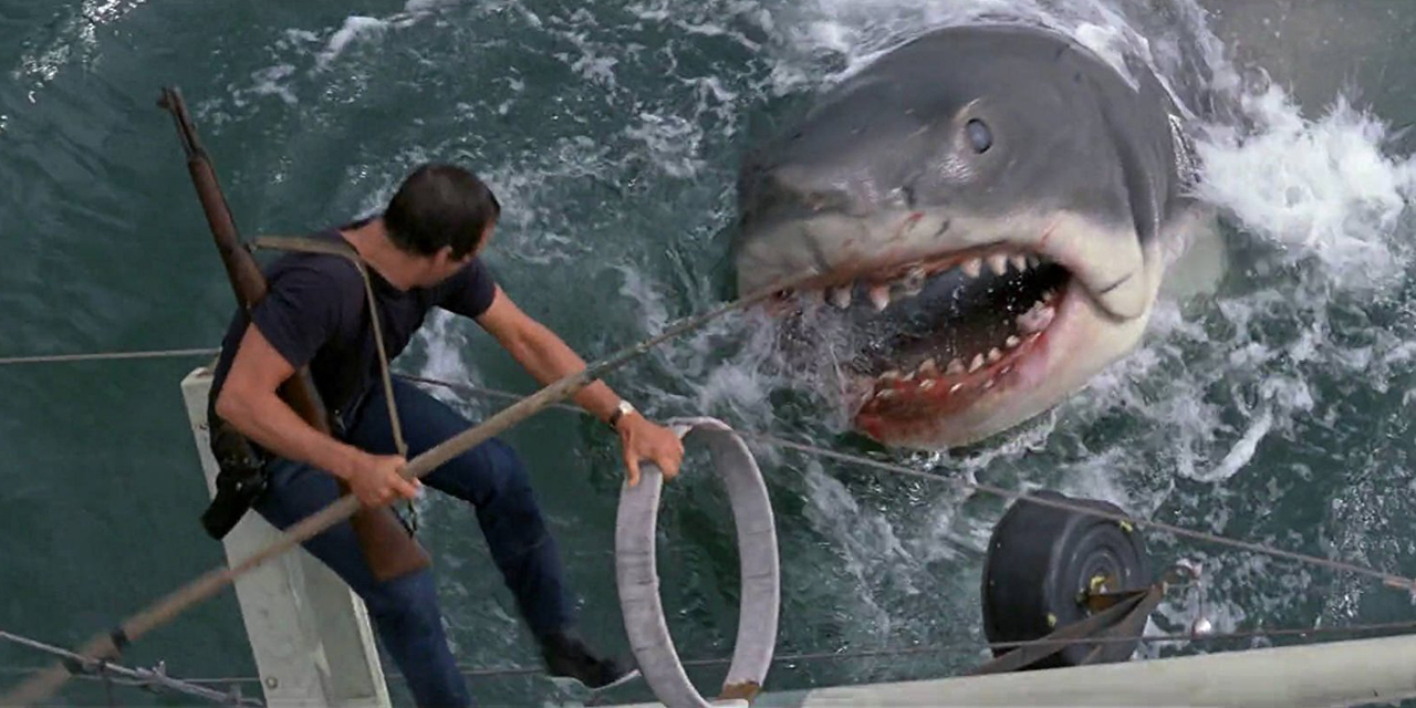 Les Dents de la Mer : retour sur un tournage catastrophe