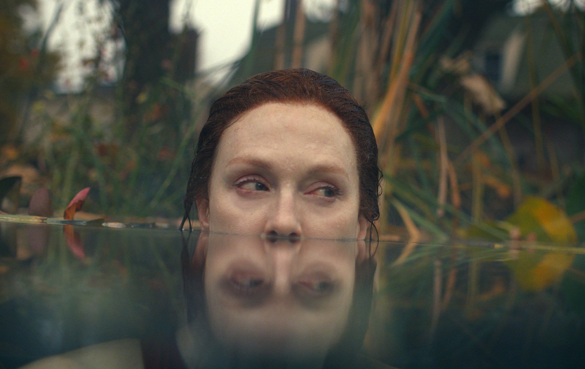 Histoire de Lisey sur Apple TV+ : c'est quoi cette série avec Julianne Moore ?