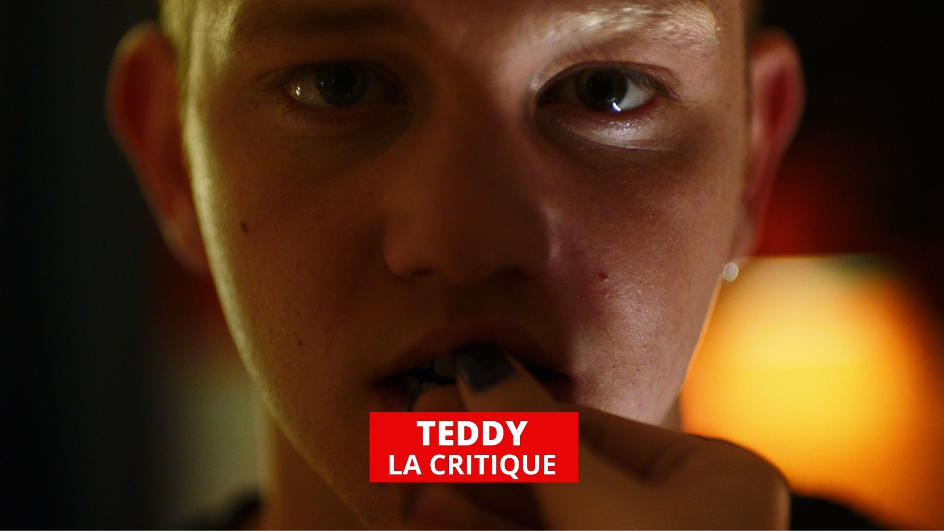 Teddy : loup, y es-tu ?