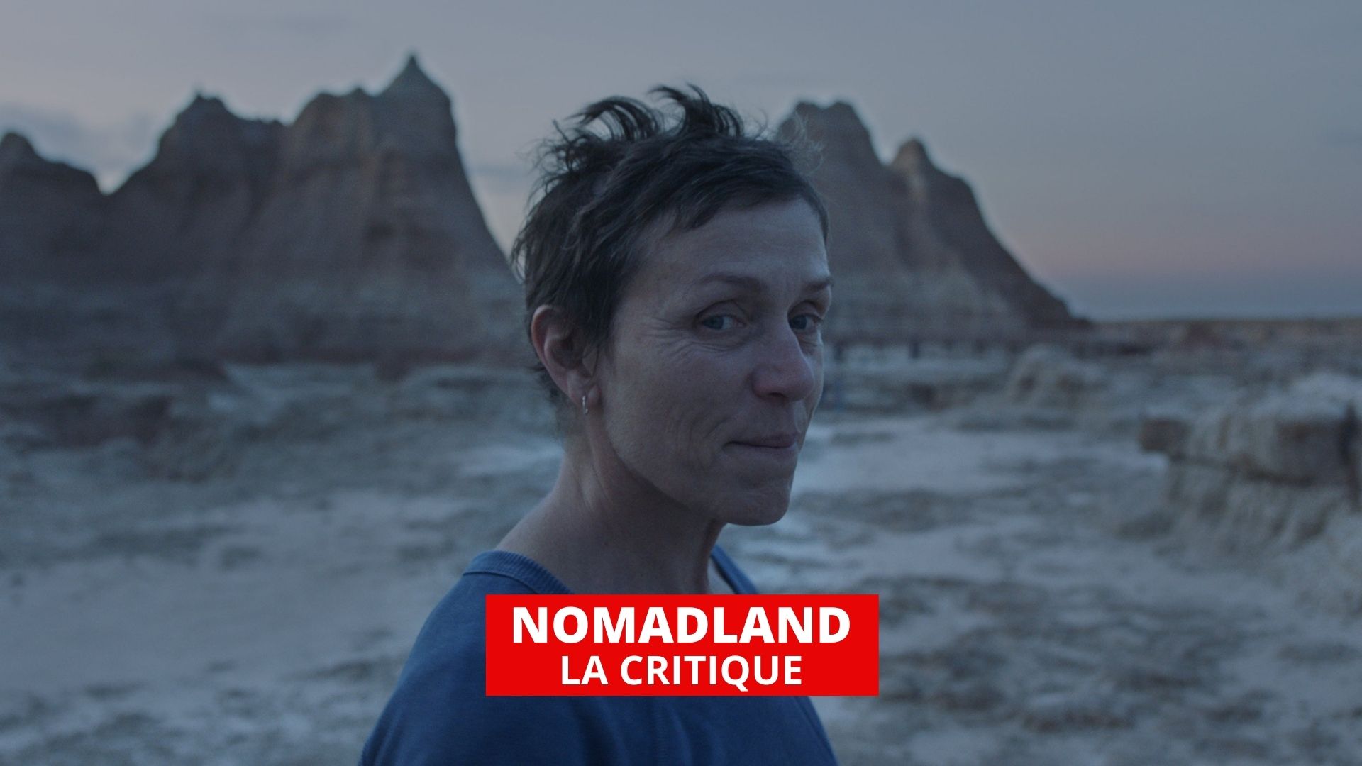 Nomadland : voyage en Amérique avec Frances McDormand