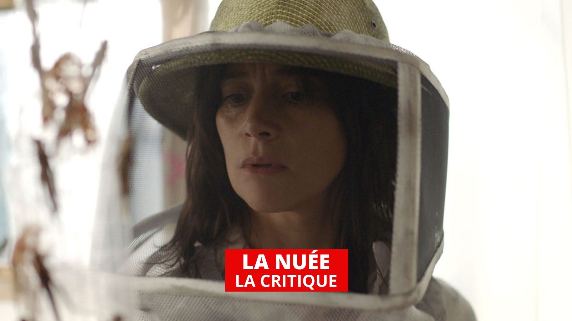 La Nuée : un premier film et une démonstration de cinéma