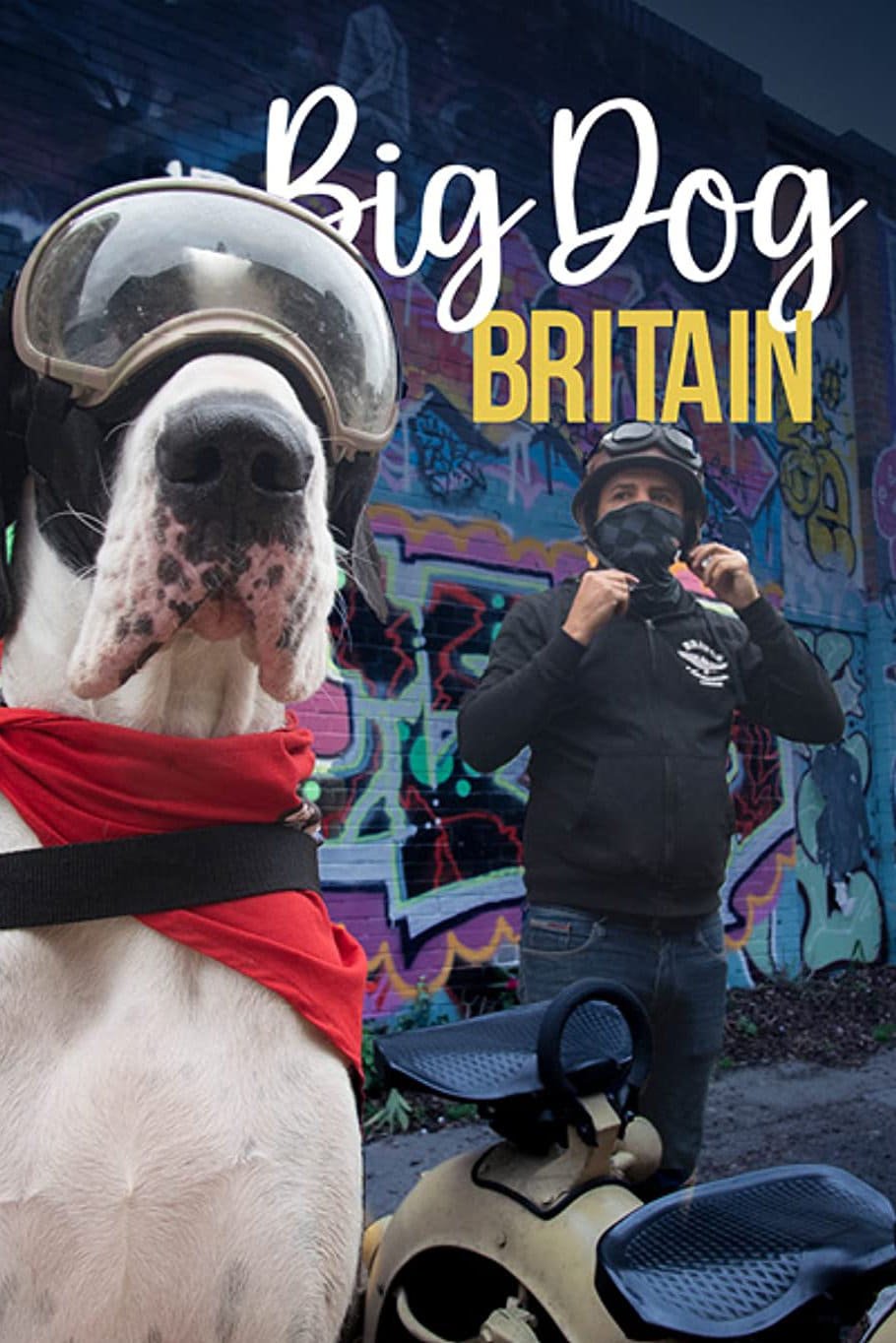 Big Dog Britain