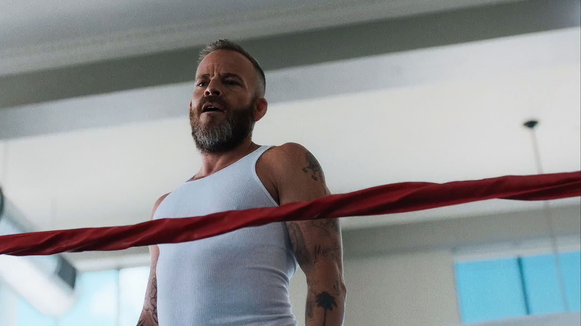 Stephen Dorff (Embattled) : 