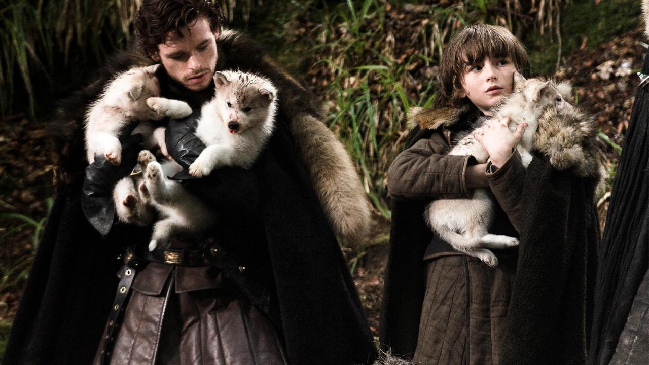 Game of Thrones : cinq choses à savoir sur les loups des Stark