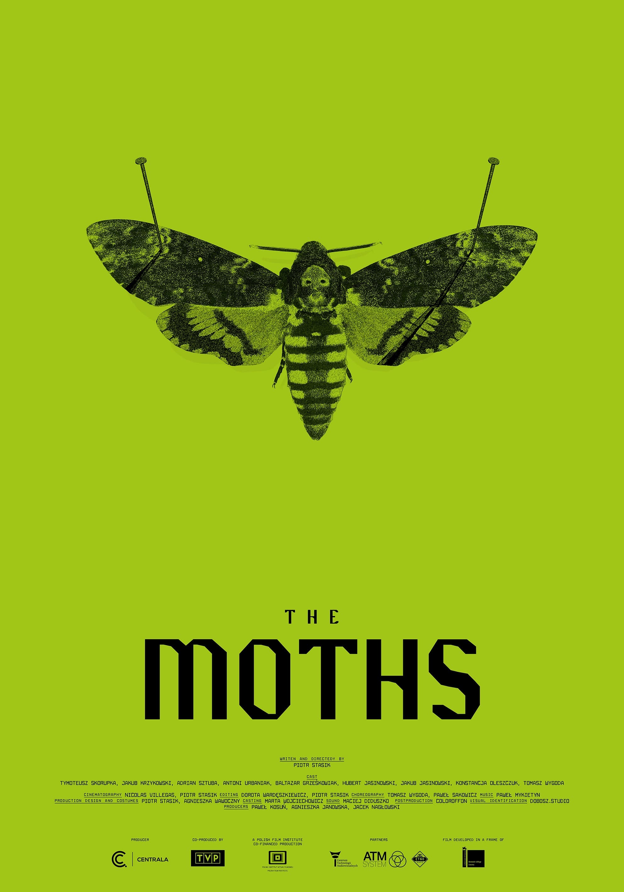 The Moths