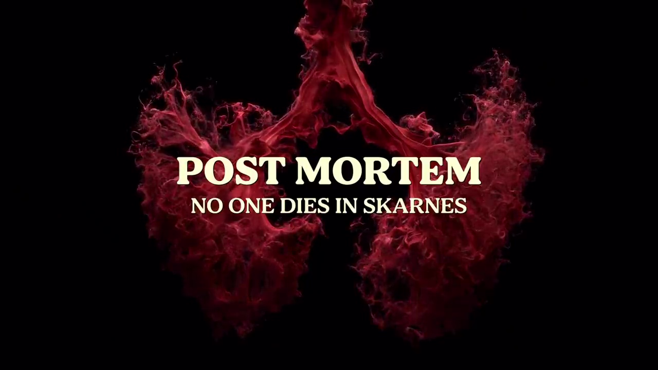 Post Mortem Personne ne meurt à Skarnes : c'est quoi cette série Netflix ?