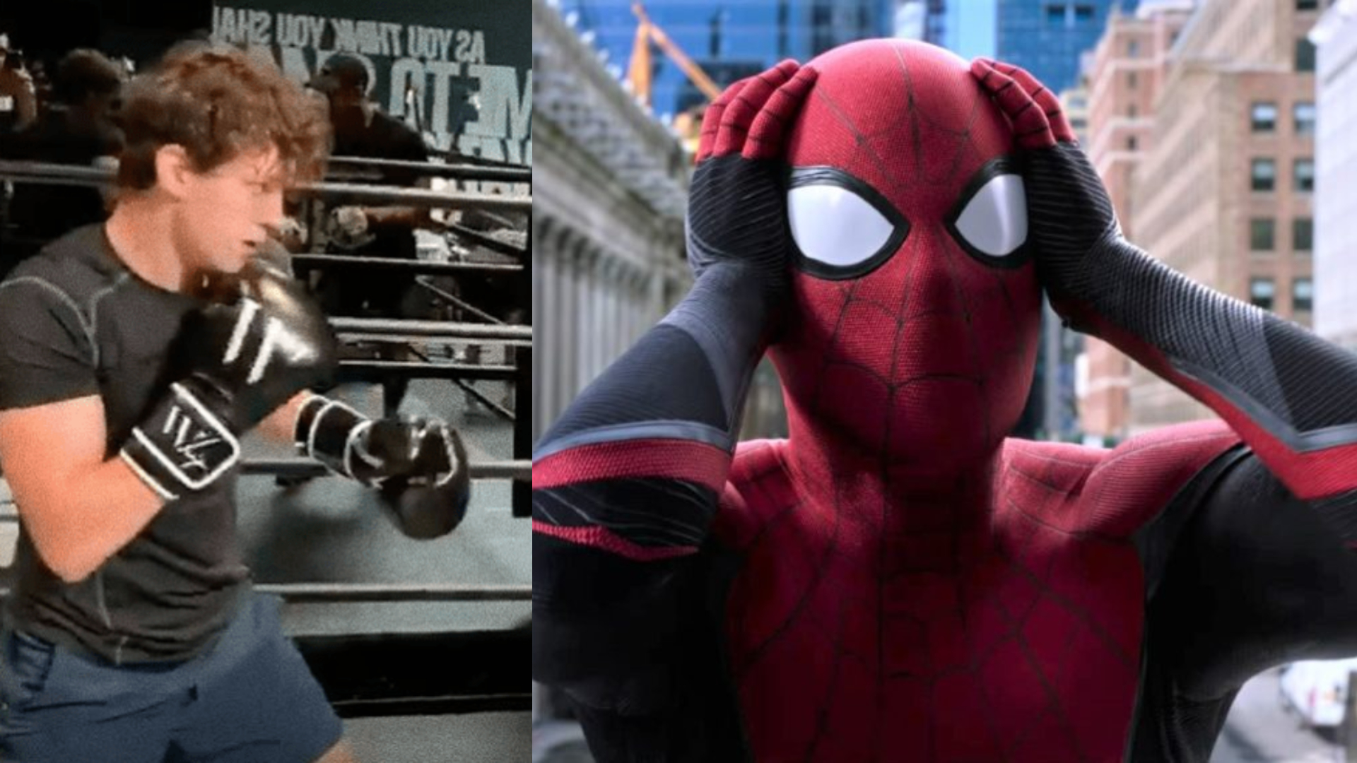 Spider-Man 3 : Tom Holland montre ses talents de boxeur dans une vidéo
