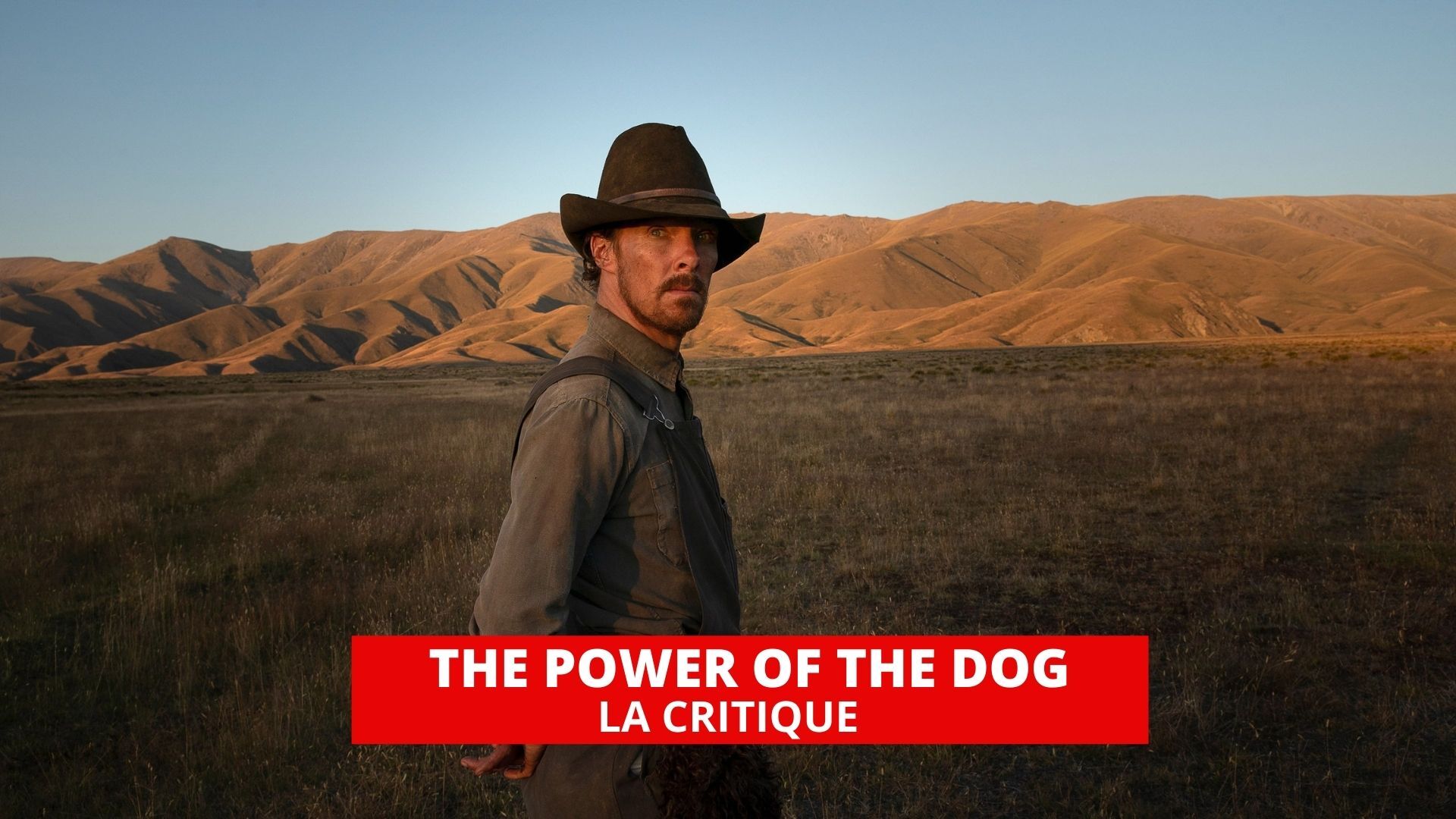 The Power of the Dog : Jane Campion signe une grande oeuvre d'amour violent
