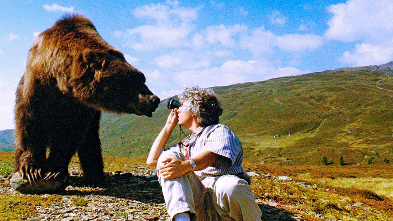L'image du jour : Bart, un ours pas comme les autres