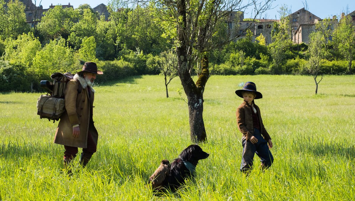 Rémi sans famille sur TF1 : comment le réalisateur a préparé les animaux du film ?