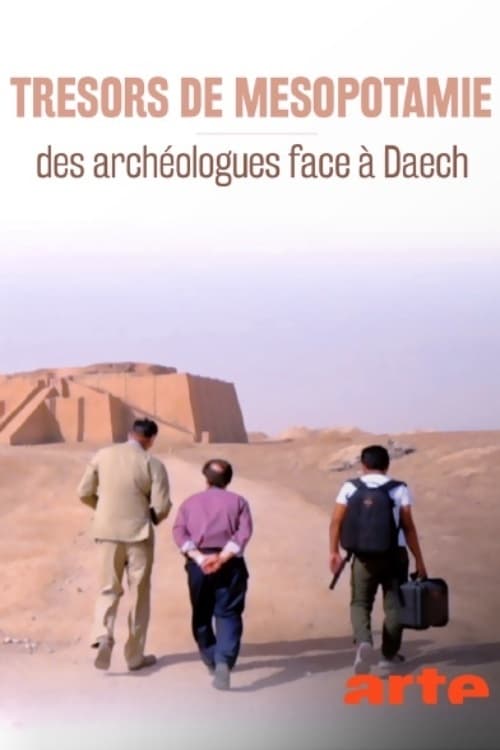 Trésors de Mésopotamie: des archéologues face à Daech