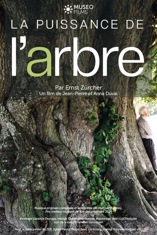 La Puissance de l’arbre avec Ernst Zürcher