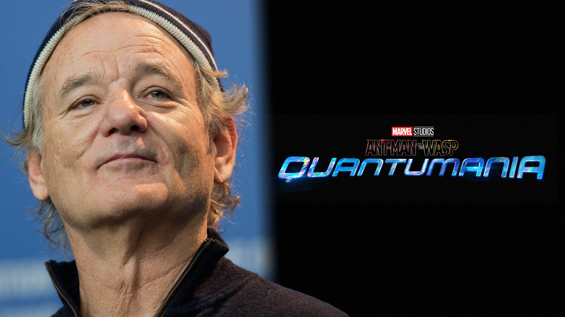 Ant-Man 3 : Bill Murray dans le film ?
