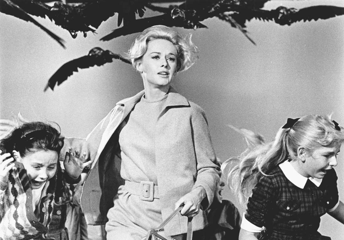 L'image du jour : le calvaire de Tippi Hedren sur le tournage de Les Oiseaux d'Hitchcock