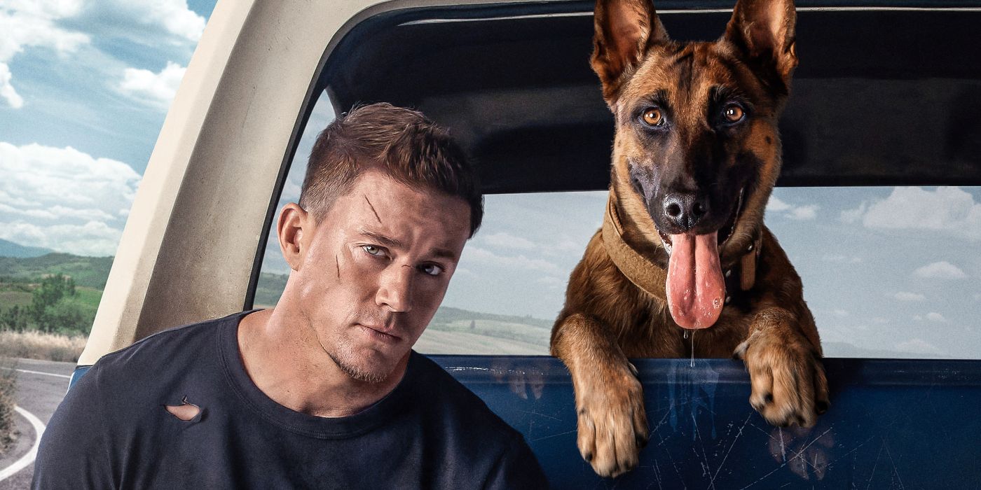 Dog : Channing Tatum prêt à tout pour son chien dans la bande-annonce