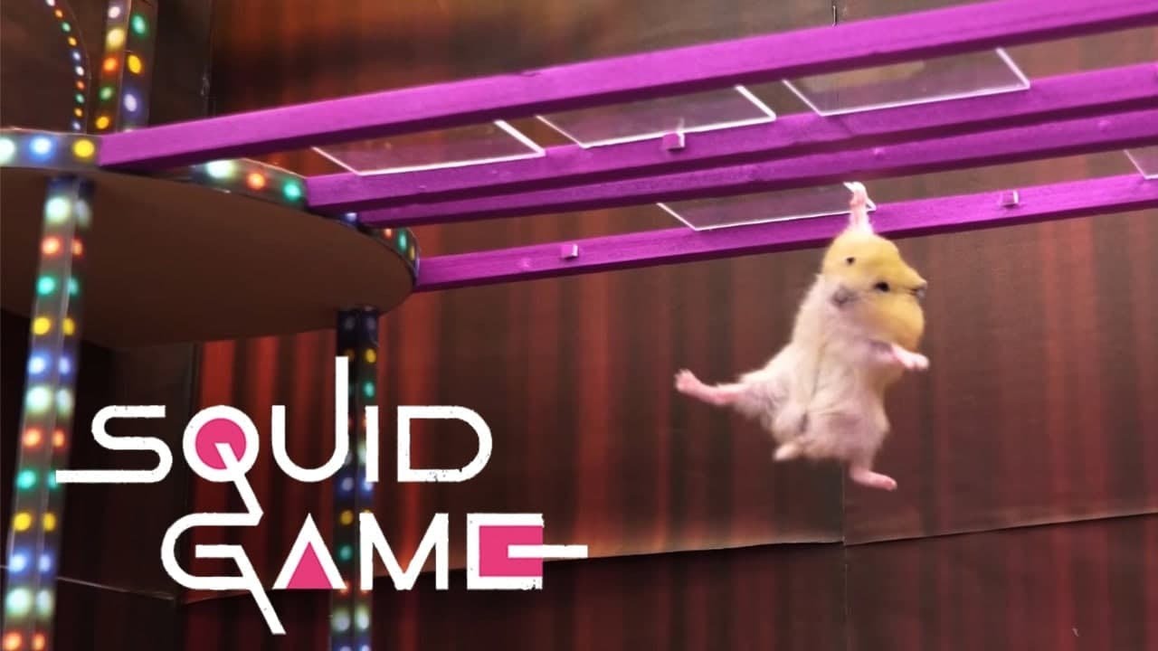 Squid Game : une parodie hilarante avec des hamsters !
