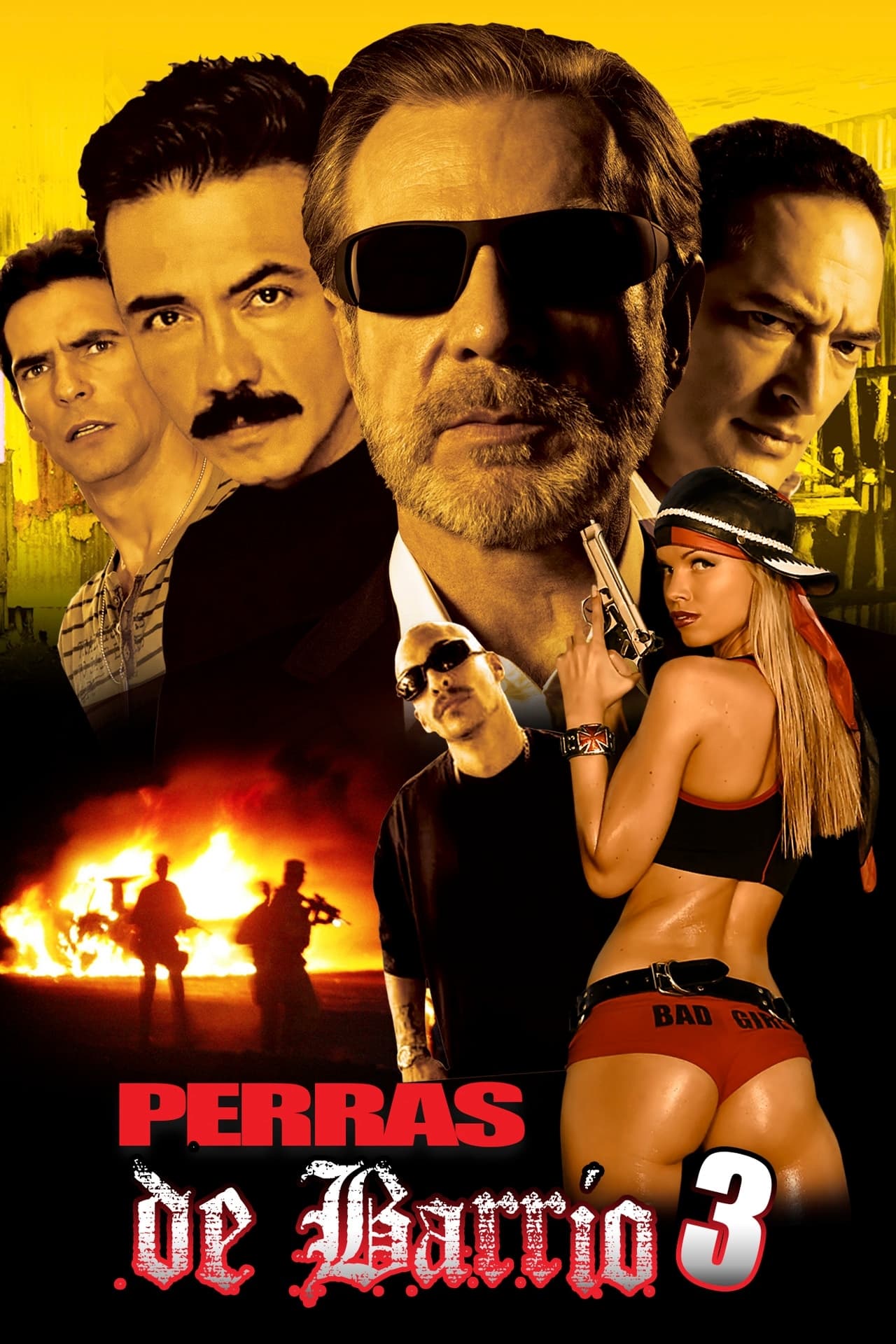 Perras de barrio 3