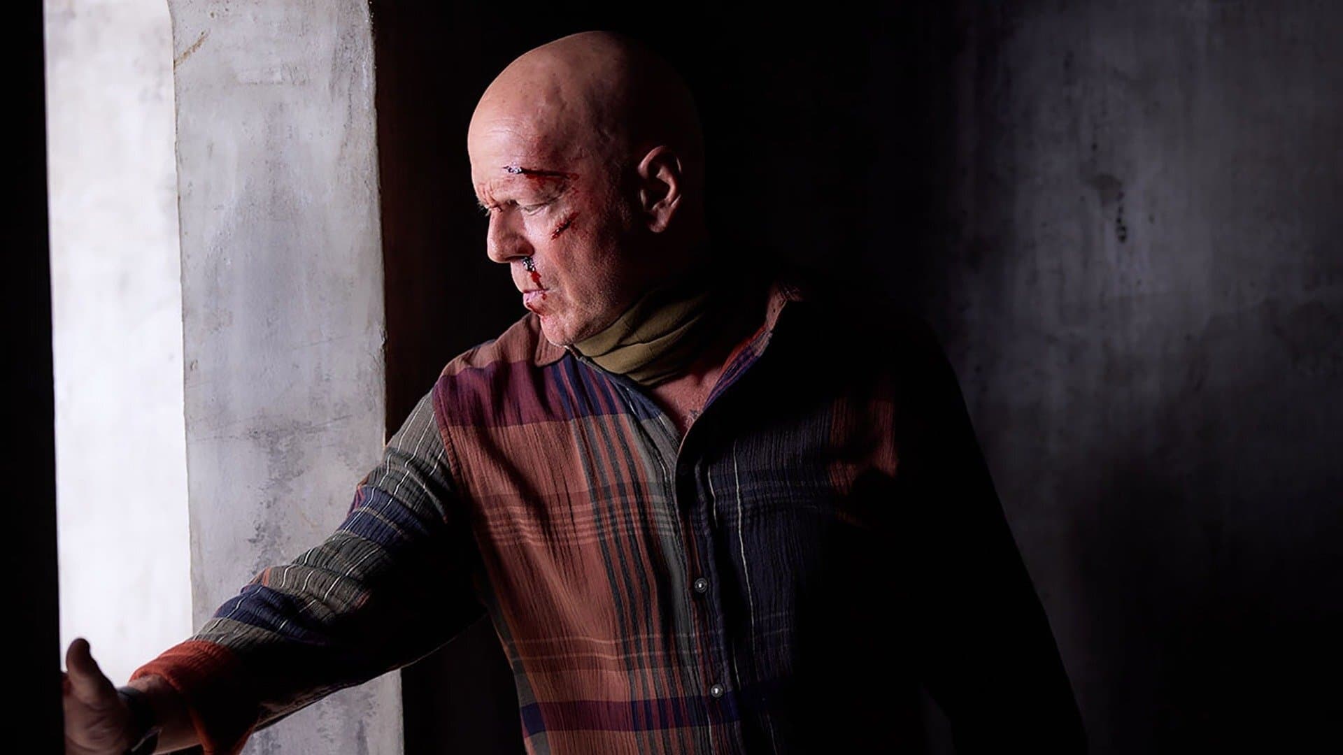 Bruce Willis, star ultime de la 42e cérémonie des Razzie Awards