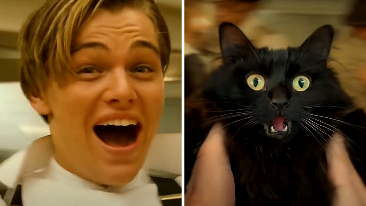 Titanic : la parodie géniale avec Leonardo DiCaprio et... un chat