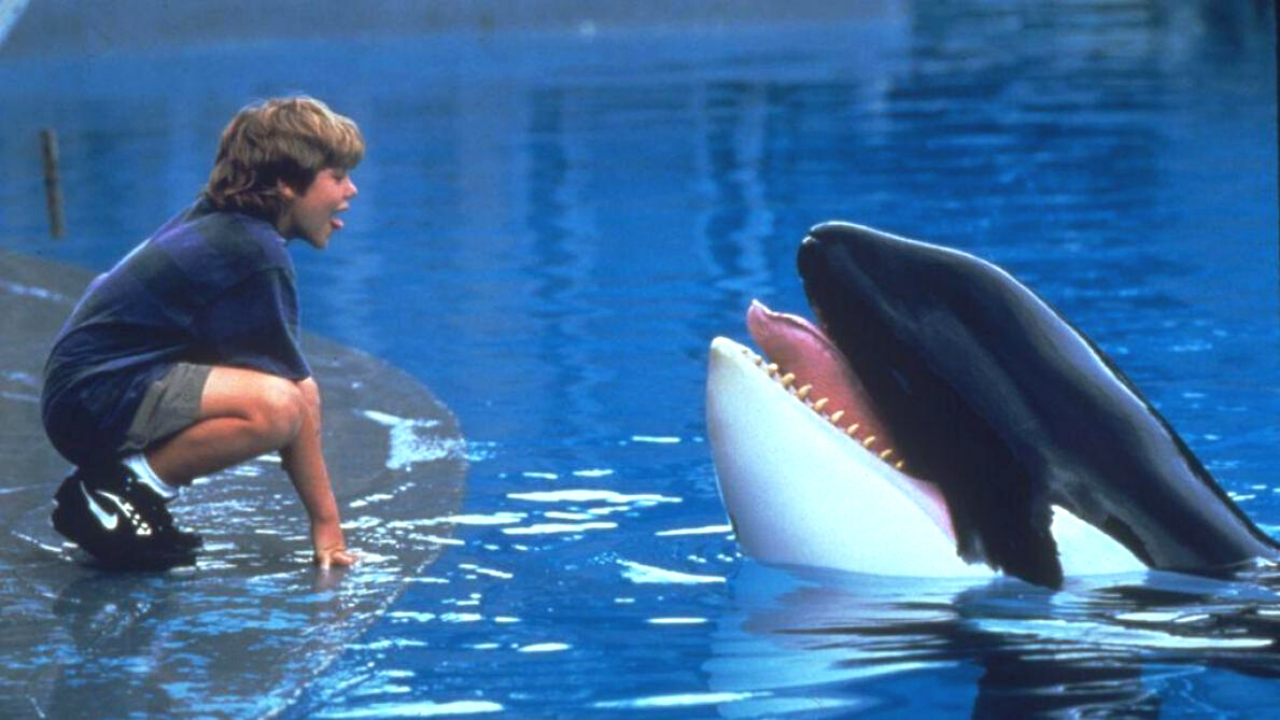 L'image du jour : la célèbre orque Keiko dans le film Sauvez Willy