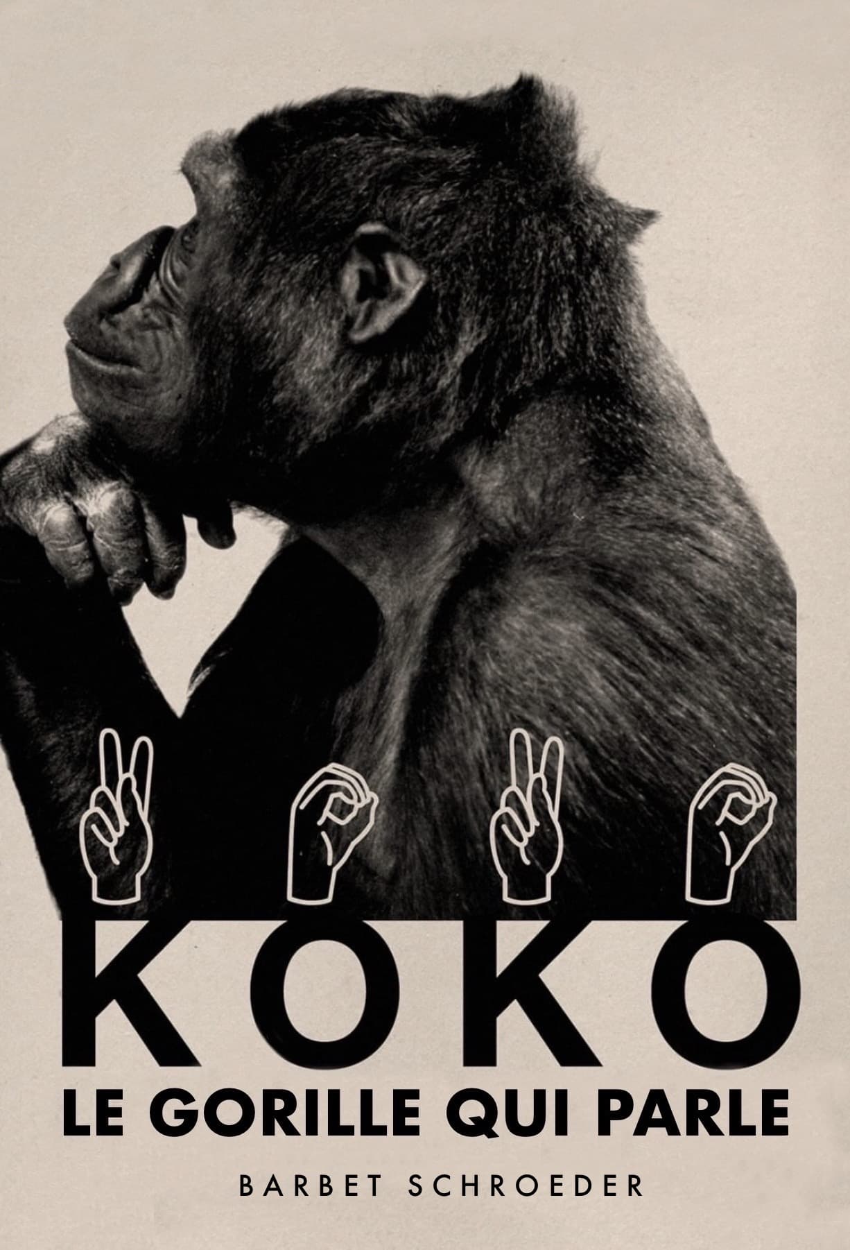 Koko, le gorille qui parle